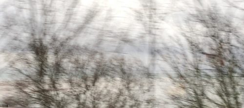 The image depicts a blurred landscape with tree branches. It highlights hazy or cloudy vision such as cataracts or the feeling of the scratchy sensation you get with dry eyes. The branches are in various shades of brown, and they appear to be bare or with sparse foliage. The blurriness of the image suggests that it was taken from a moving vehicle or with a fast shutter speed, capturing the motion of the trees as they pass by. The sky above is partly cloudy, with patches of blue visible through the clouds. This image was taken on a moving train.