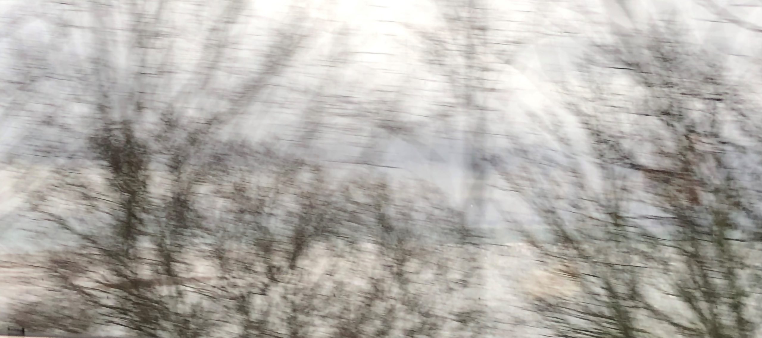 Blurred landscape with tree branches. It highlights hazy or cloudy vision such as cataracts or the feeling of the scratchy sensation you get with dry eyes. The branches are in various shades of brown, and they appear to be bare or with sparse foliage. The blurriness of the image suggests that it was taken from a moving vehicle or with a fast shutter speed, capturing the motion of the trees as they pass by. The sky above is partly cloudy, with patches of blue visible through the clouds. This image was taken on a moving train.