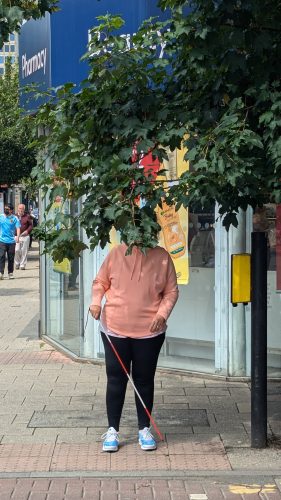 London Sight Loss Council member Nikki is stood at a pedestrian crossing. Her face is obscured by large overhanging tree branches in hr path over the crossing.