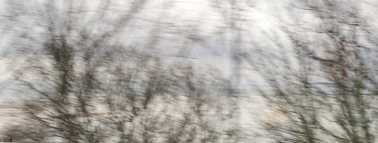 Blurred landscape with tree branches. It highlights hazy or cloudy vision such as cataracts or the feeling of the scratchy sensation you get with dry eyes. The branches are in various shades of brown, and they appear to be bare or with sparse foliage. The blurriness of the image suggests that it was taken from a moving vehicle or with a fast shutter speed, capturing the motion of the trees as they pass by. The sky above is partly cloudy, with patches of blue visible through the clouds. This image was taken on a moving train.