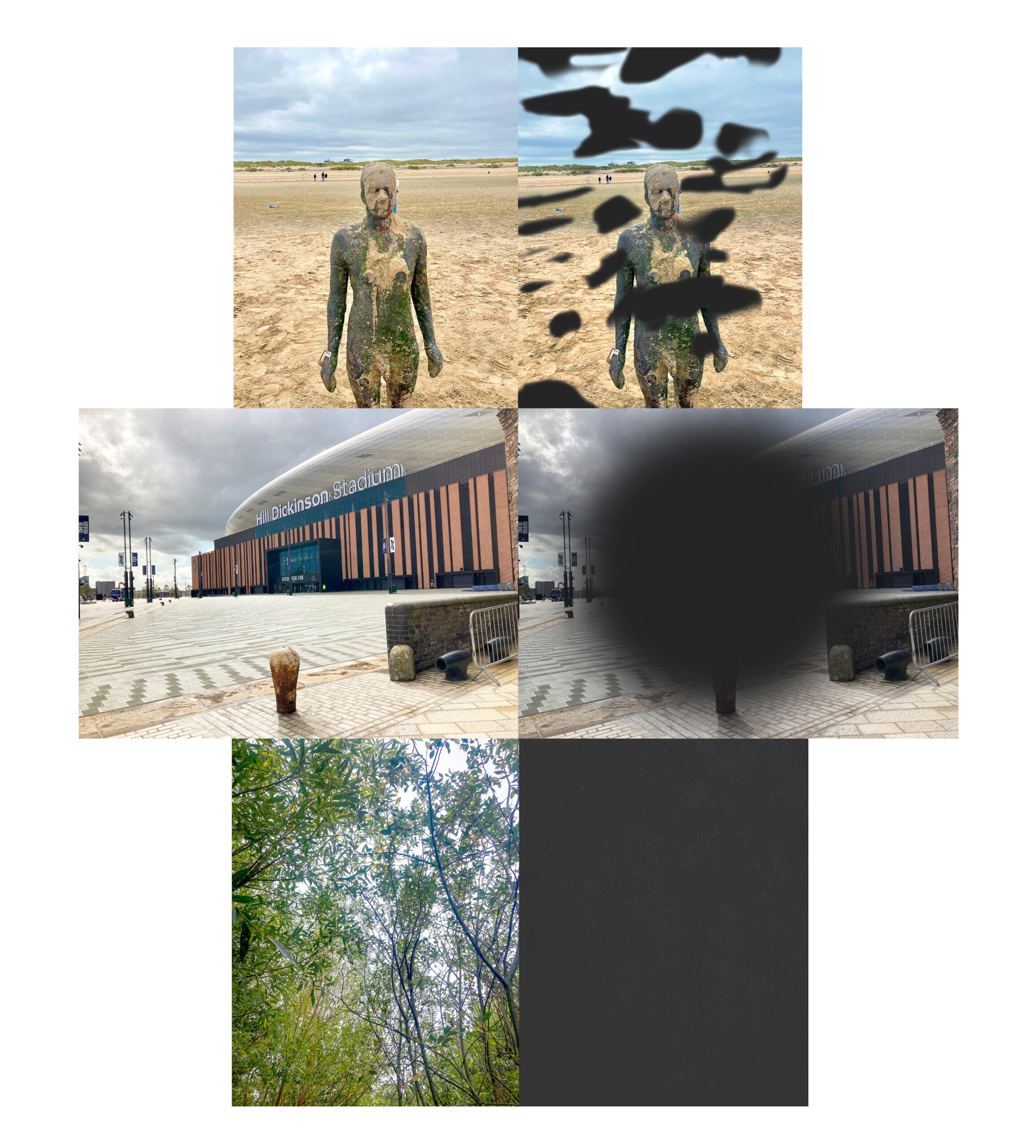 This panel is arranged in a grid-style layout on a white background, combining original photographs with edited versions that represent how the same scenes may appear to someone living with sight loss. The images are grouped in rows, with some images shown clearly and others partially obscured or faded to demonstrate different visual experiences.