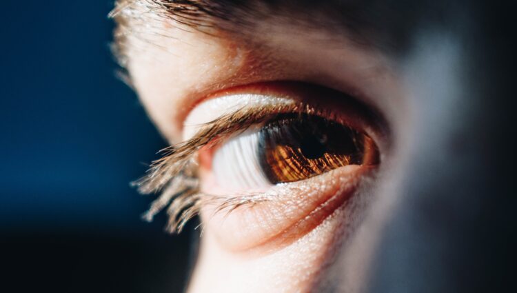 A close-up photograph of a brown eye in bright natural light. The eyelashes and skin texture are sharply detailed, and reflections of light are visible on the surface of the eye.