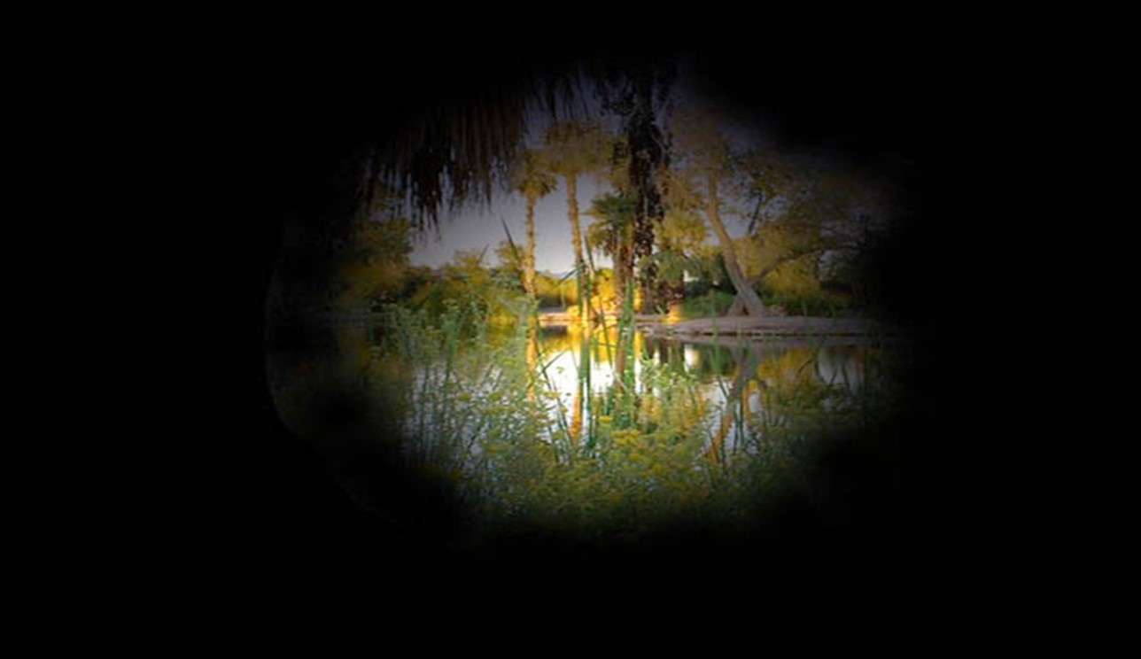 A pond with trees and plants. The picture shows darkness around the periphery of the image.