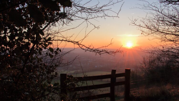 A scenic sunset view from Box Hill in Surrey. The sun is low on the horizon, casting a warm orange glow across the sky and landscape below. Tree branches frame the photo on both sides, and a wooden fence stands in the foreground, overlooking the valley. In the distance, hills and fields appear under the fading daylight.