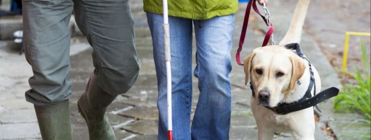Image showing 2 people walking on street, one with a guide dog