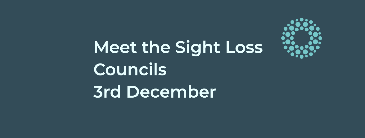 Meet the Sight Loss Councils graphic