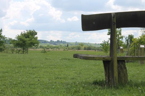 a beautiful green view of a meadow in Millennium Country Park, framed by a wooden bench in the foreground on the right