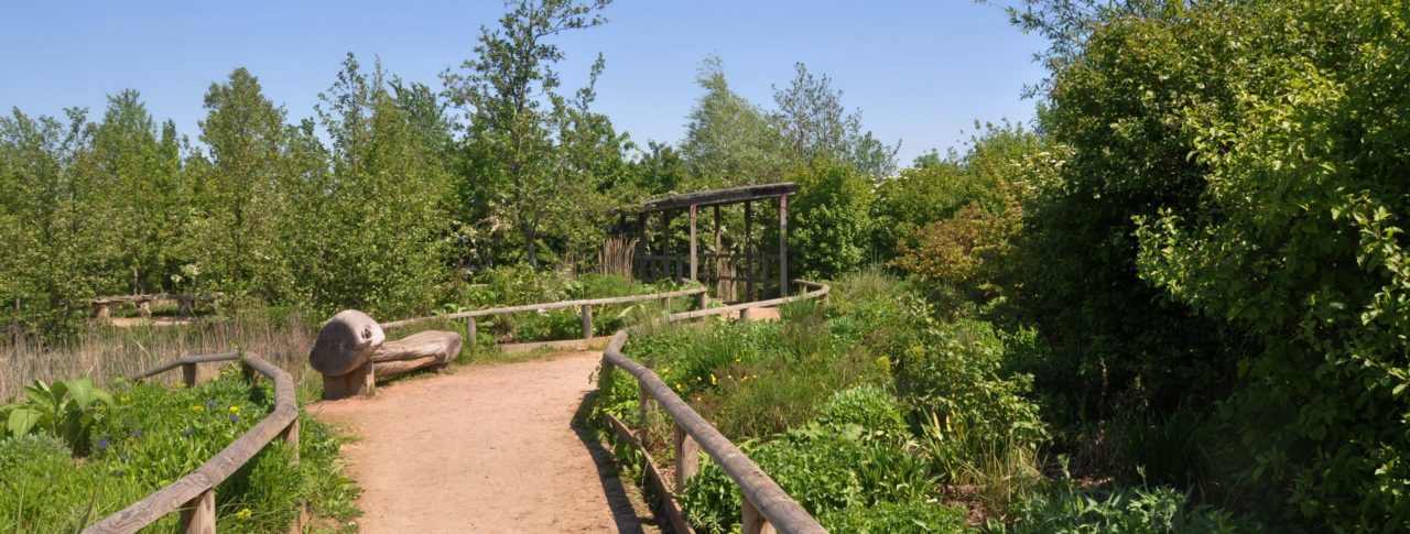 a beautiful sunny view of Millennium Country Park sensory garden path