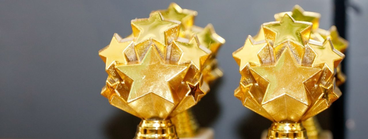 Two awards siting side by side. The awards are circular, gold clusters of stars.