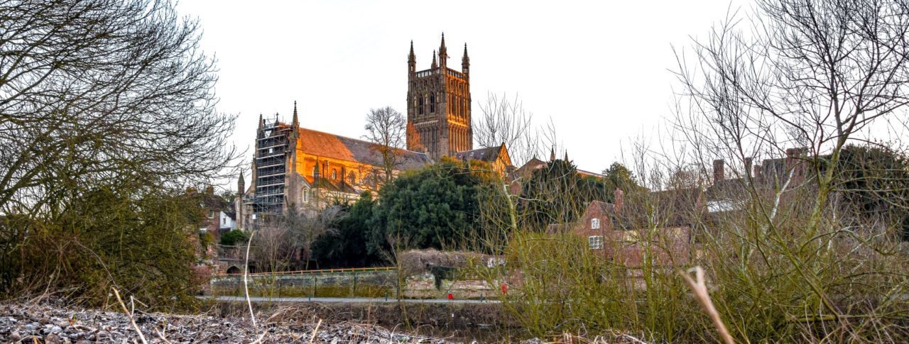 Image looks out towards Worcester Cathedral, taken from low on the ground. There are trees and houses surrounding the cathedral.