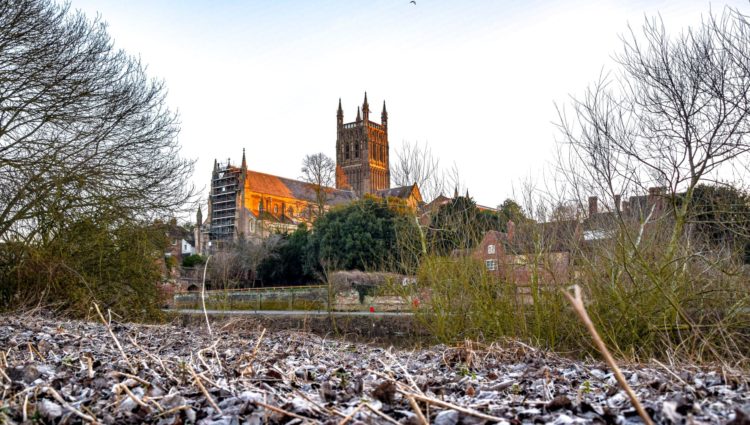 Image looks out towards Worcester Cathedral, taken from low on the ground. There are trees and houses surrounding the cathedral.