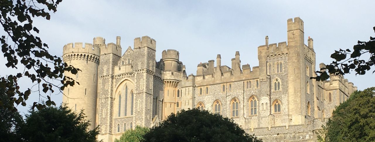 Landscape image of Arundel Castle in the distance. Image shows some trees and hedges in the forefront of the picture.