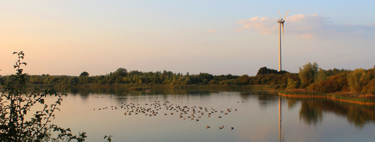 Landscape image of Millenium Country Park Wetlands. A body of water with a large number of ducks sitting on it. The sun is setting, and the sky has a lovely hazy orange hue to it.