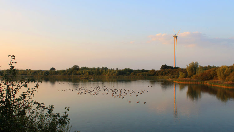 Landscape image of Millenium Country Park Wetlands. A body of water with a large number of ducks sitting on it. The sun is setting, and the sky has a lovely hazy orange hue to it.