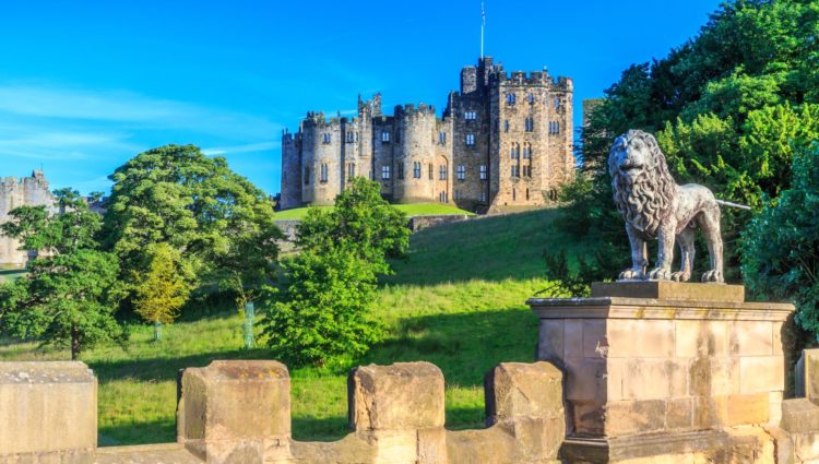 Landscape image of Alnwick Castle, Northumberland. At the forefront of the picture is a medieval stone wall, with a statue of a lion standing on it. The sky is bright blue and the image is framed by green trees.