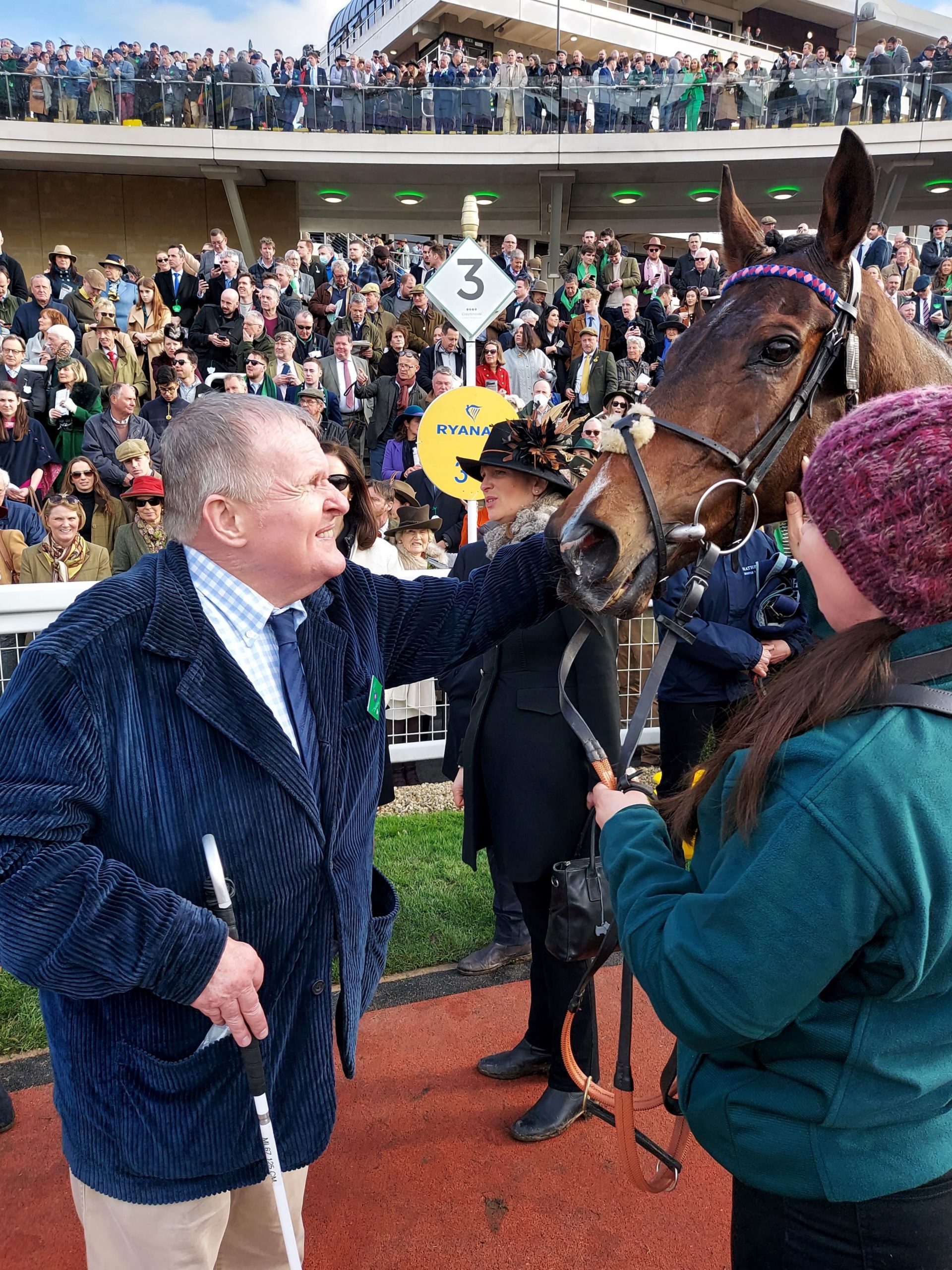 Andrew Gemmell and racehorse, Paisley Park, at Cheltenham Races. Andrew is looking at the horse, stroking his face and holding his cane in the other hand. A groom is holding the horse by the bridle and crowds of people are in the background.