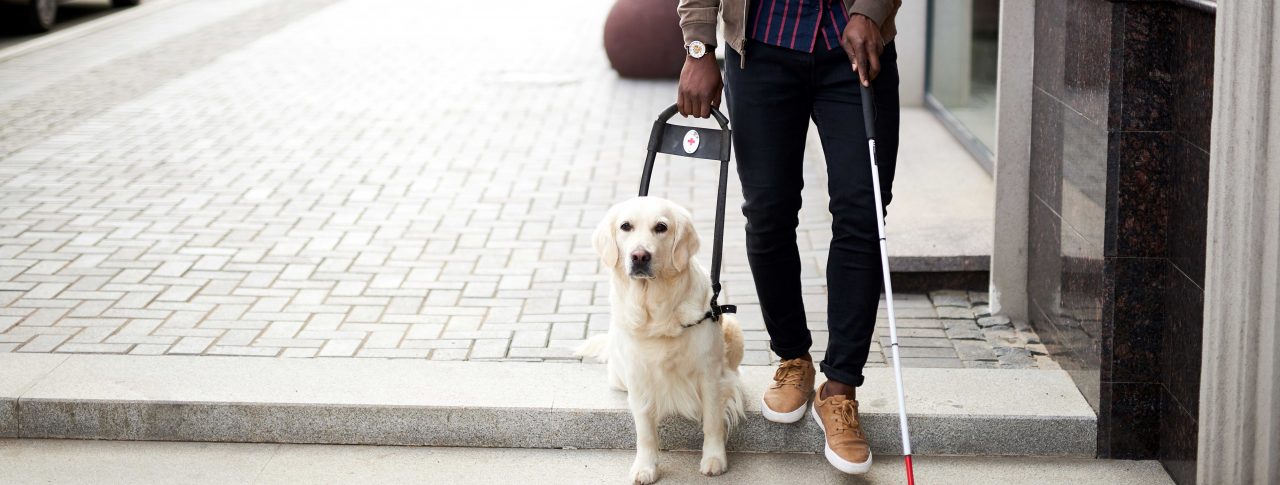 Image shows a man stepping off of a curb with his guide dog. He is holding a white cane.