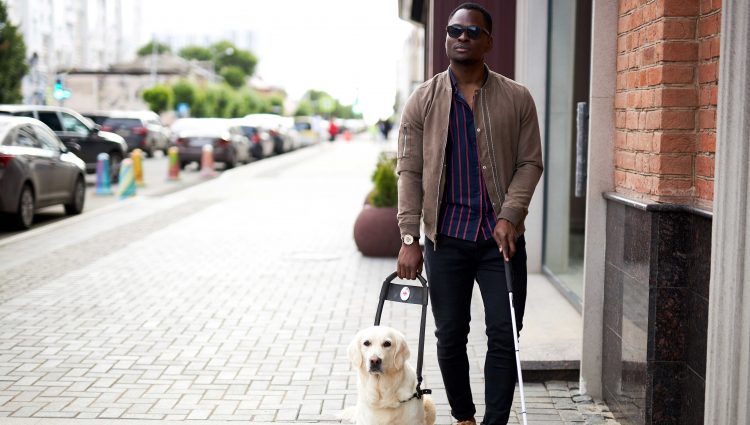 Image shows a man stepping off of a curb with his guide dog. He is holding a white cane.