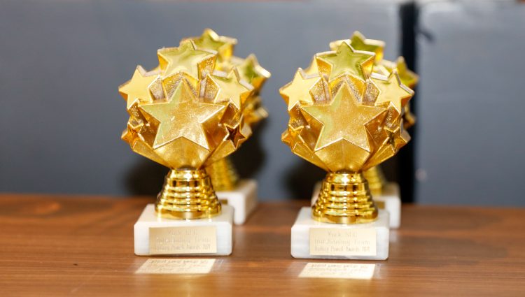 A close up of two Rodney Powell Awards. A trophy made up of different sized, gold stars, clustered together in a circular shape.
