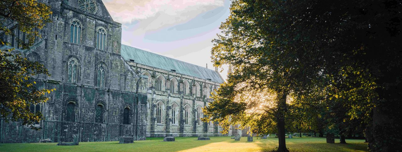 Winchester Cathedral, Hampshire. Photo taken from the lawn behind the cathedral as the sun is setting. Sunlight floods the image through large trees which frame the image.