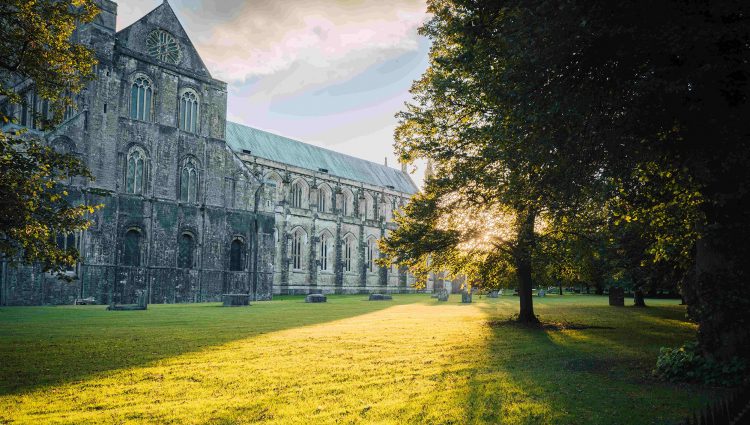 Winchester Cathedral, Hampshire. Photo taken from the lawn behind the cathedral as the sun is setting. Sunlight floods the image through large trees which frame the image.