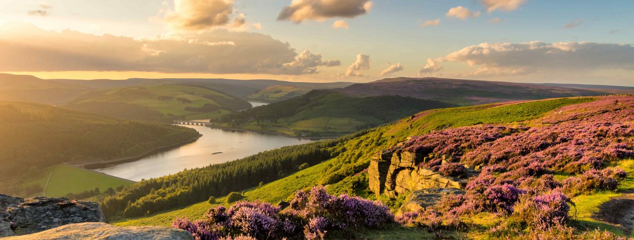 Sunset at Bamford Edge, Peak District National Park. Image is taken from a high elevation, and looks down hills covered in purple heather and rocks, towards a stretch of river. Golden light floods the left hand side of the image.